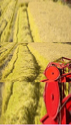 Corporate Product Presentation